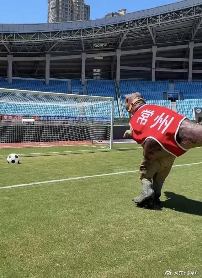 中华恐龙园联动体育赛事打造文旅地标，恐龙吉祥物引爆全民参与